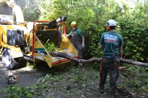 tree services Skokie